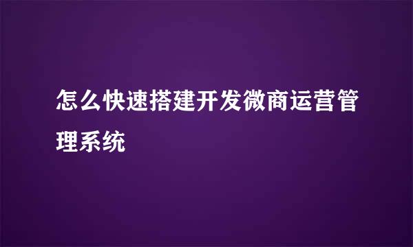 怎么快速搭建开发微商运营管理系统
