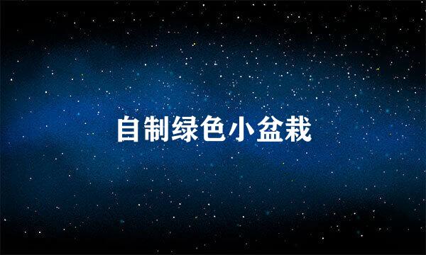 自制绿色小盆栽