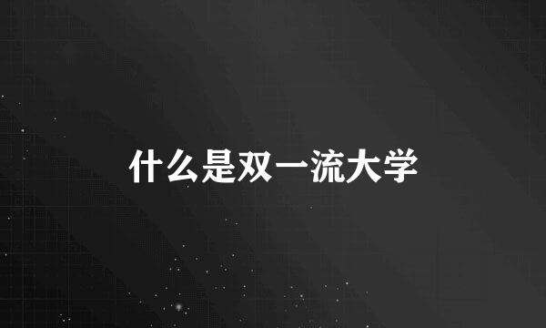 什么是双一流大学