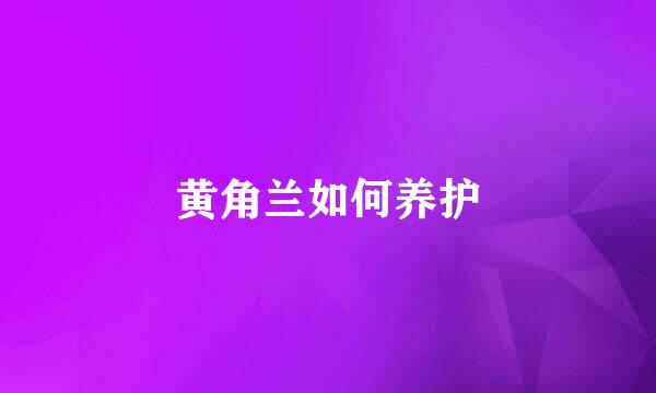 黄角兰如何养护