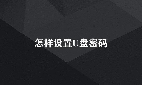 怎样设置U盘密码