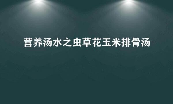 营养汤水之虫草花玉米排骨汤