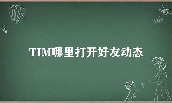 TIM哪里打开好友动态