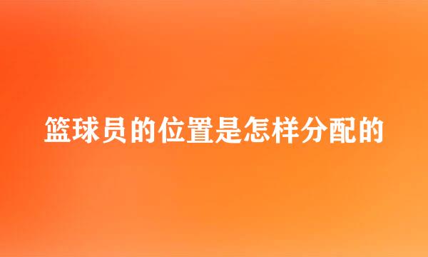 篮球员的位置是怎样分配的
