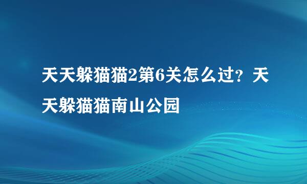 天天躲猫猫2第6关怎么过？天天躲猫猫南山公园