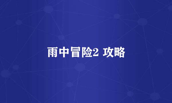 雨中冒险2 攻略