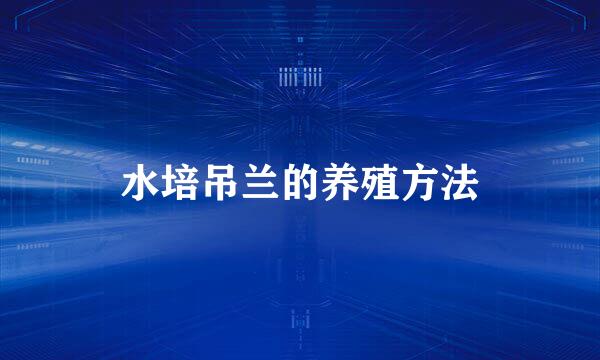 水培吊兰的养殖方法