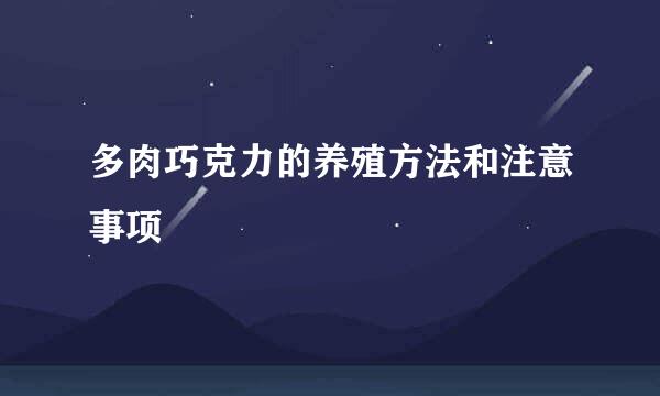 多肉巧克力的养殖方法和注意事项