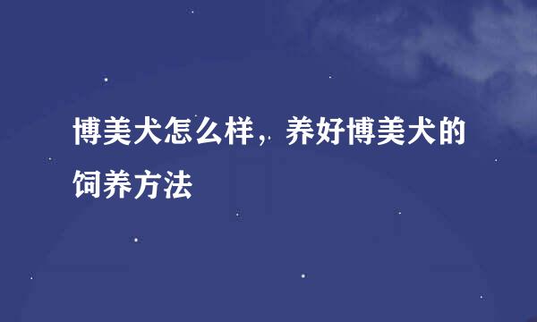 博美犬怎么样，养好博美犬的饲养方法