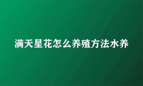 满天星花怎么养殖方法水养