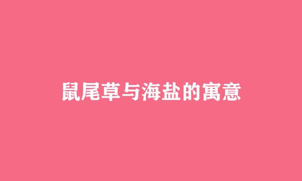 鼠尾草与海盐的寓意