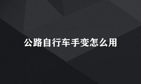 公路自行车手变怎么用