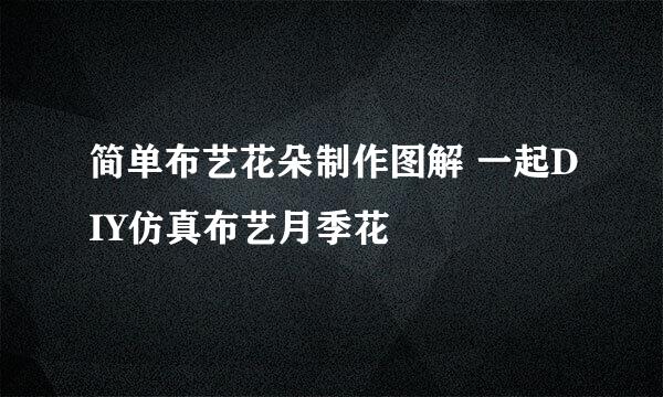 简单布艺花朵制作图解 一起DIY仿真布艺月季花