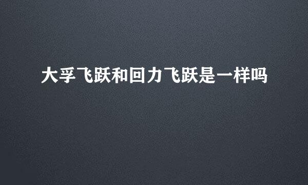 大孚飞跃和回力飞跃是一样吗