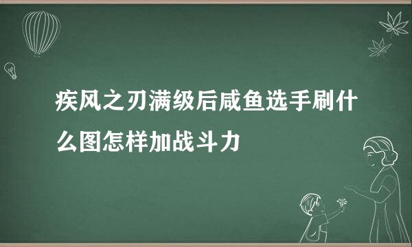 疾风之刃满级后咸鱼选手刷什么图怎样加战斗力