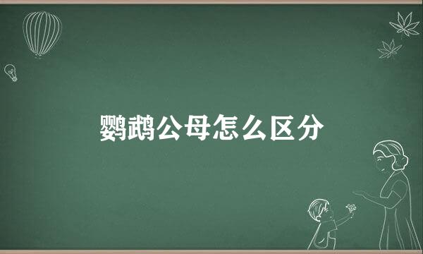 鹦鹉公母怎么区分