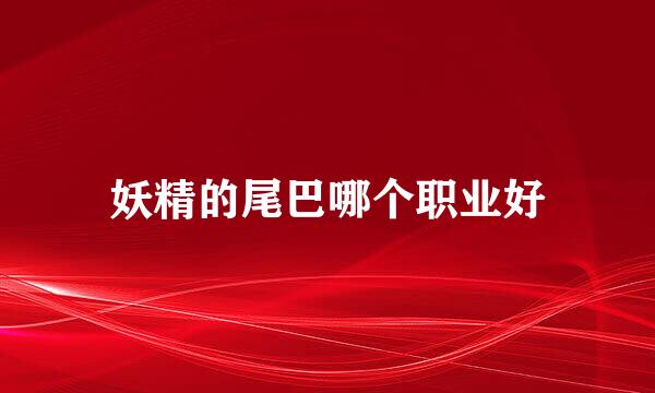 妖精的尾巴哪个职业好