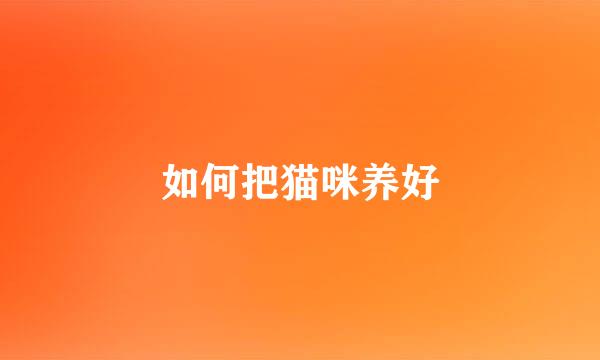 如何把猫咪养好