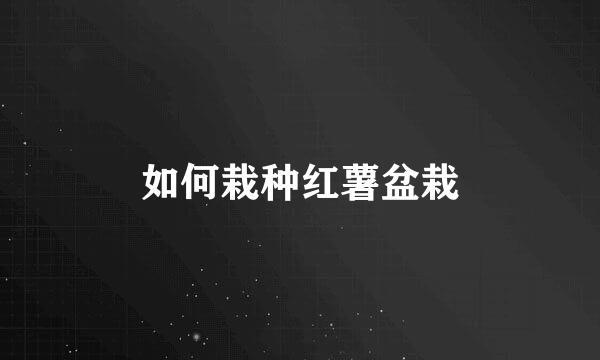 如何栽种红薯盆栽