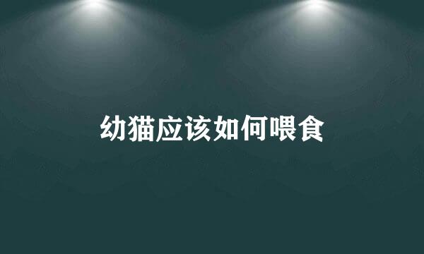 幼猫应该如何喂食
