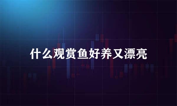 什么观赏鱼好养又漂亮