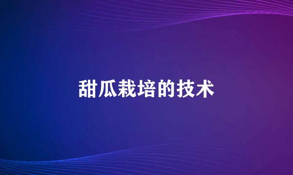 甜瓜栽培的技术