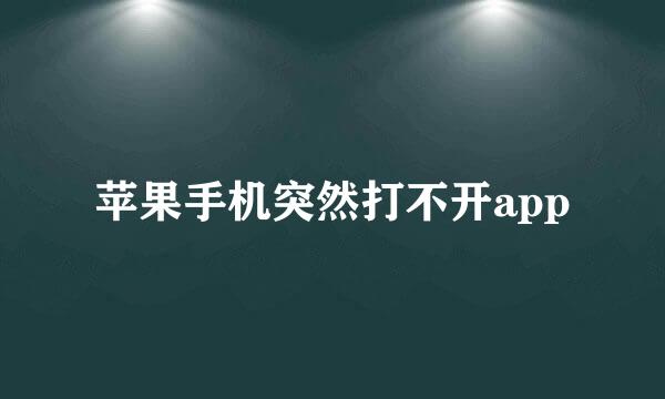 苹果手机突然打不开app