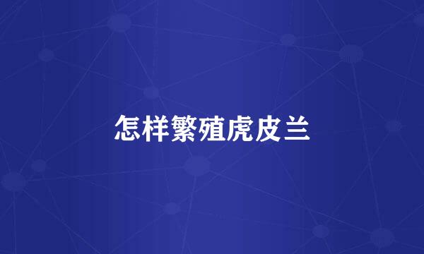 怎样繁殖虎皮兰