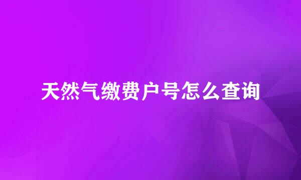 天然气缴费户号怎么查询