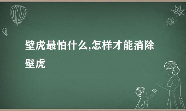 壁虎最怕什么,怎样才能消除壁虎