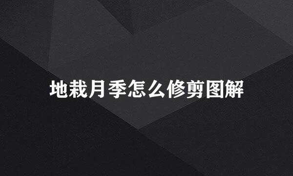 地栽月季怎么修剪图解