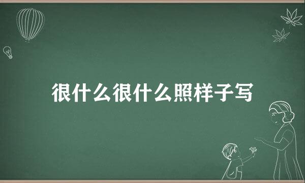 很什么很什么照样子写