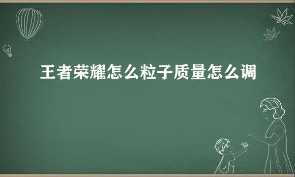 王者荣耀怎么粒子质量怎么调