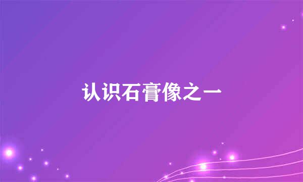 认识石膏像之一