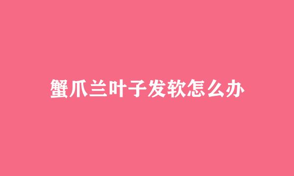 蟹爪兰叶子发软怎么办