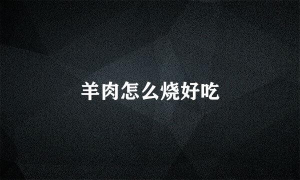 羊肉怎么烧好吃