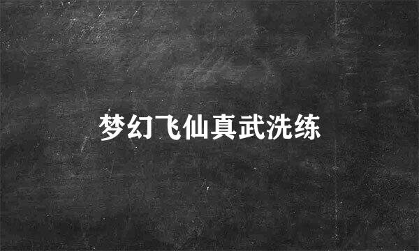 梦幻飞仙真武洗练