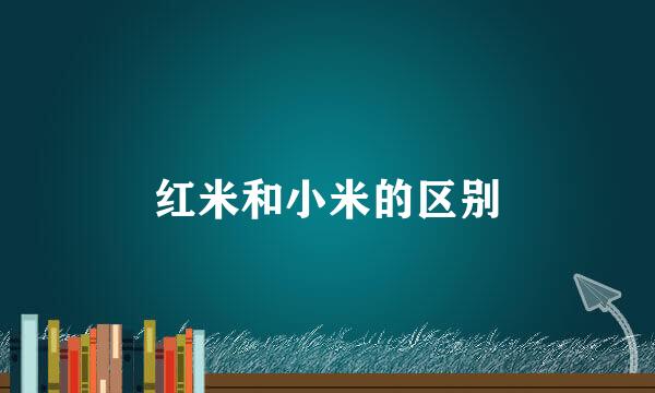 红米和小米的区别