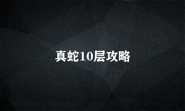 真蛇10层攻略