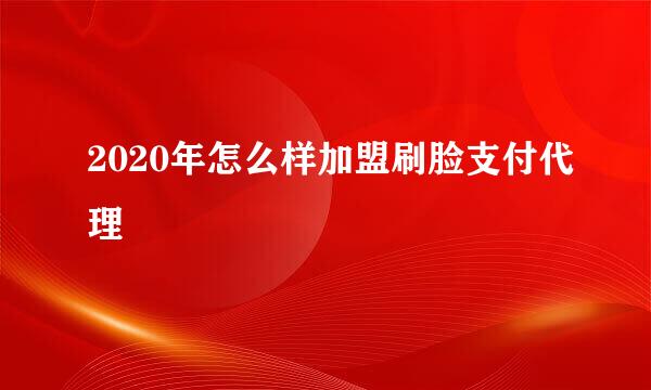 2020年怎么样加盟刷脸支付代理