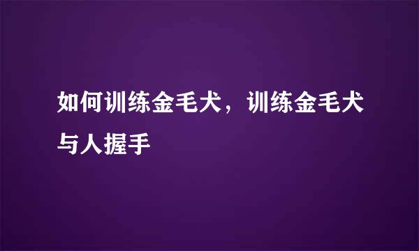 如何训练金毛犬,训练金毛犬与人握手