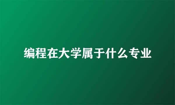 编程在大学属于什么专业