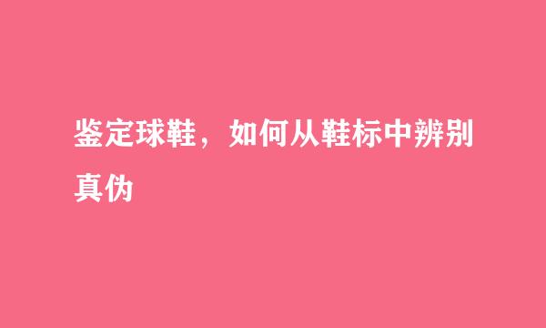 鉴定球鞋,如何从鞋标中辨别真伪