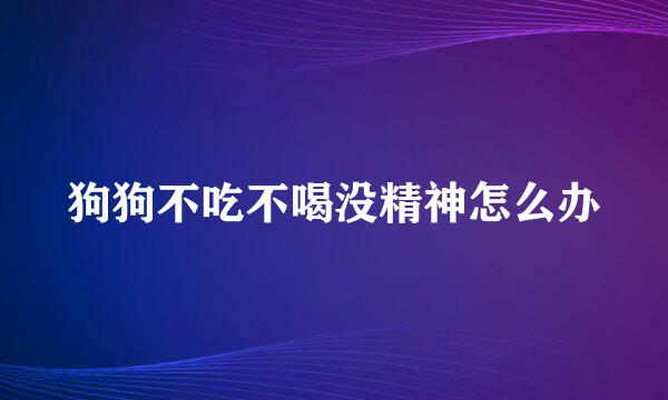 狗狗不吃不喝没精神怎么办