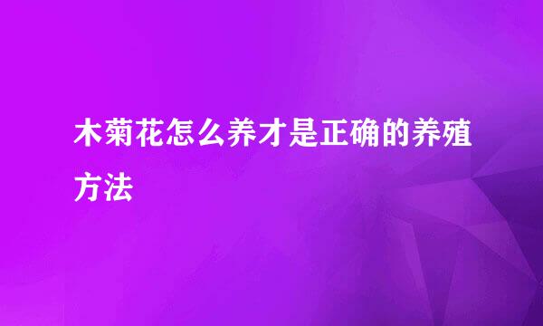 木菊花怎么养才是正确的养殖方法