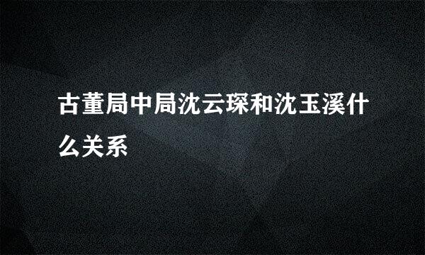 古董局中局沈云琛和沈玉溪什么关系