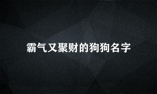 霸气又聚财的狗狗名字