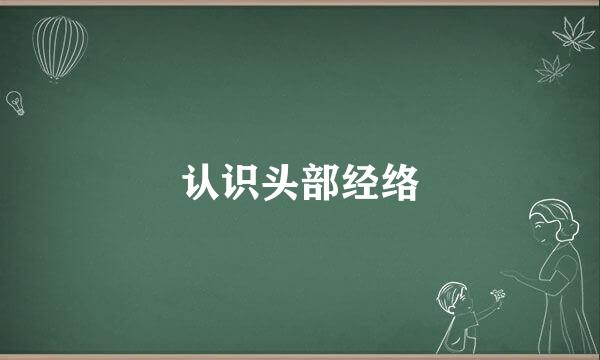 认识头部经络
