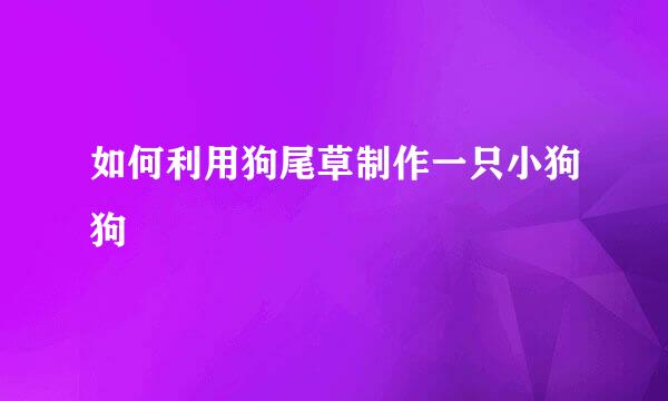 如何利用狗尾草制作一只小狗狗