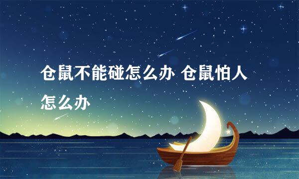 仓鼠不能碰怎么办 仓鼠怕人怎么办